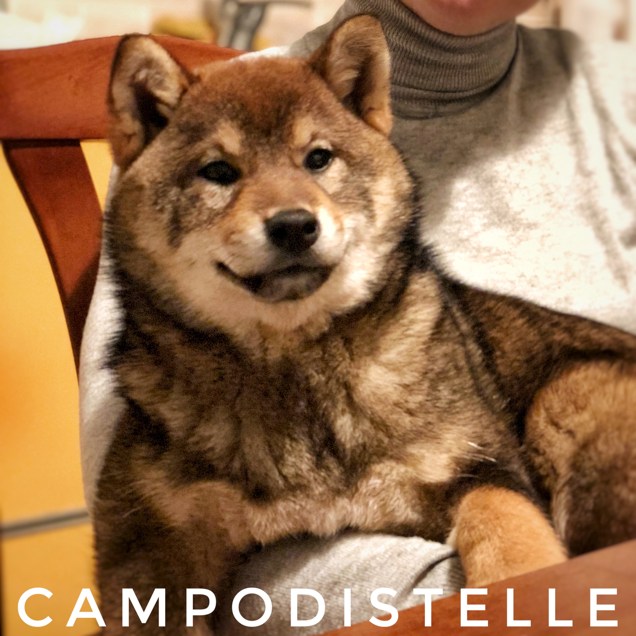 Mitsouko Del Campodistelle