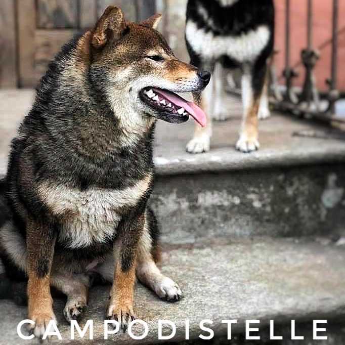 Nutella Del Campodistelle